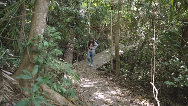 旅行者亚洲女人徒步在森林里视频素材