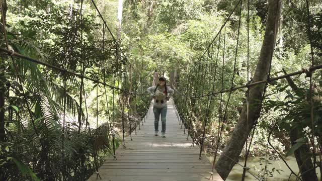 旅行者亚洲女人徒步在森林里视频素材