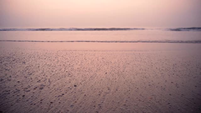 日落在海滩和热带海-印度视频素材