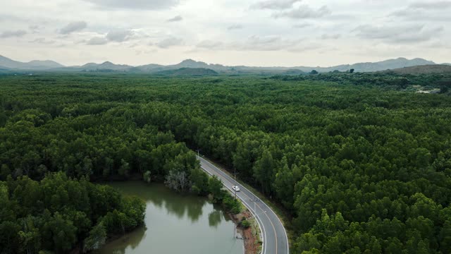 汽车在柏油路上行驶，穿过森林。视频素材