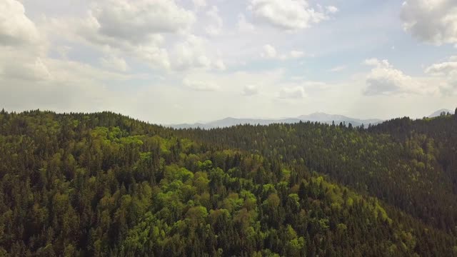 在多云的夏季天气，高山覆盖着绿色云杉森林的鸟瞰图。视频素材