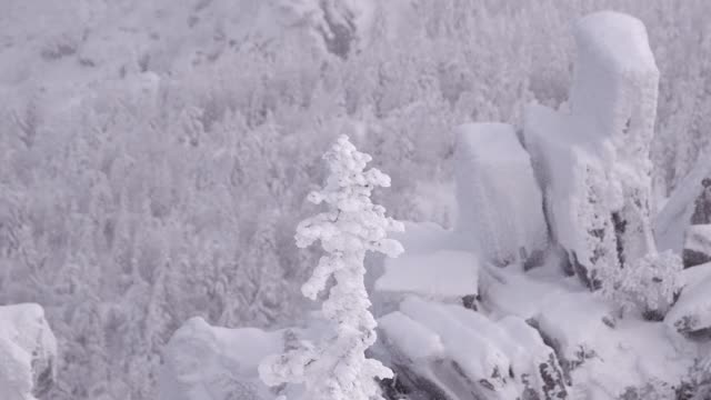 云杉顶部覆盖着霜冻。雪落在冬天的岩石和树木上。山腰完全被雪覆盖着视频素材