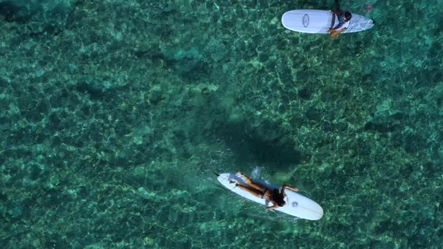 威基基海滩冲浪视频素材