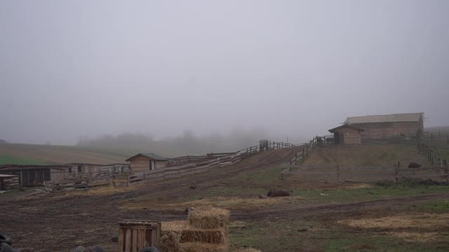 在村子里种地。山上的牧场。马吃草视频素材