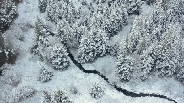 苏格兰西南部的邓弗里斯和加洛韦被雪覆盖的树木鸟瞰图视频素材