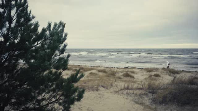 波罗的海冬季风暴的背景沙丘视频素材