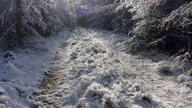 这是苏格兰西南部的邓弗里斯和加洛韦被雪覆盖的小路的低角度视图视频素材