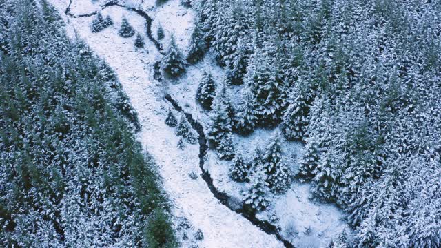 在苏格兰西南部的邓弗里斯和加洛韦，一架无人机飞过一条被雪覆盖的溪流视频素材