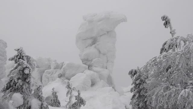 山顶冬天的大雾天气。骆驼头形的石崖完全被冰雪覆盖。树枝在风中微微摇摆。视频素材