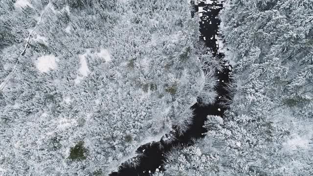 冬天河景观视频素材