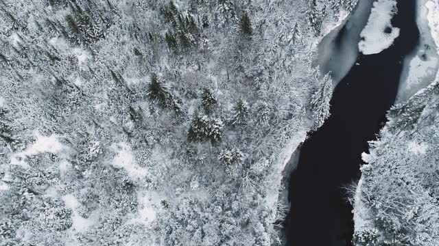 冬天河景观视频素材