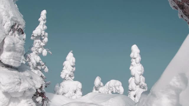 雪树在微风中摇曳。山的一边下雪了。树枝上积了一层厚厚的雪，被霜压弯了。在树木和岩石之间是蓝天的空间。视频素材