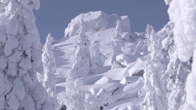 白雪覆盖着山坡上的巨石和树木。冷杉在强风和暴风雪中摇摆。冬天的风景与明媚的阳光下的蓝天。树枝上覆盖着厚厚的霜和冰。视频素材