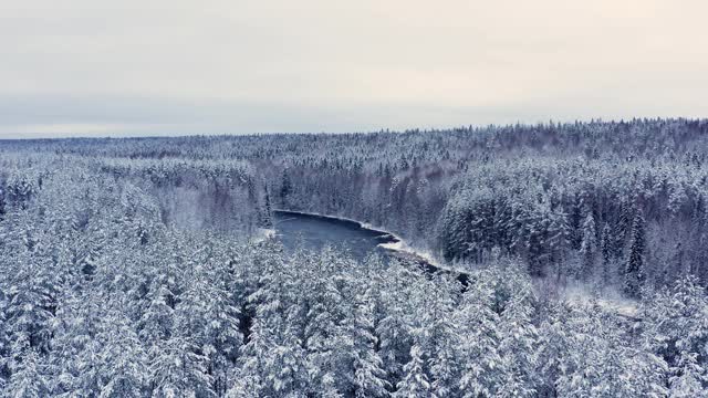 无人机飞过雪林和河流，树木在雪天下的山峰视频素材