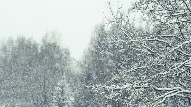 下雪视频下载