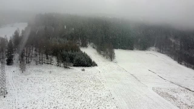 在暴风雪，降雪期间的山区森林鸟瞰图。视频素材