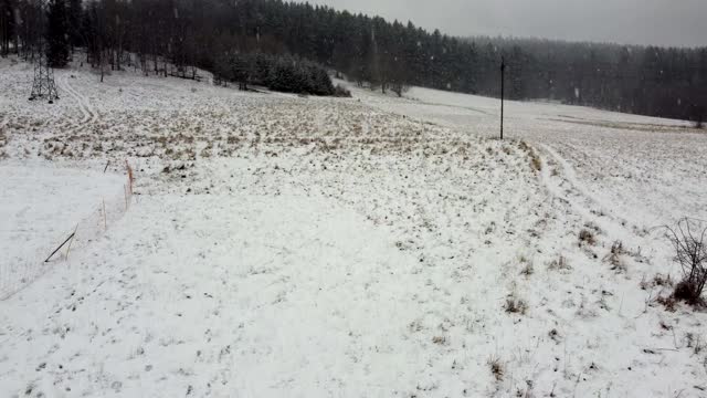 在暴风雪，降雪期间的山区森林鸟瞰图。视频素材