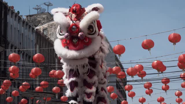 春节期间的中国狮子表演。视频素材