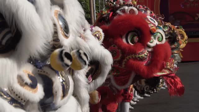 春节期间一群中国狮子表演。视频素材