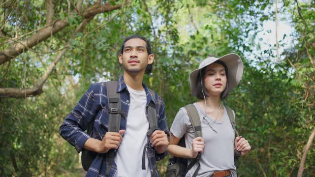 年轻的亚洲男子和白人女性朋友一起在森林旅行。他们在大自然中感到清新和放松，看着并指向风景，然后继续散步，快乐和乐趣视频素材