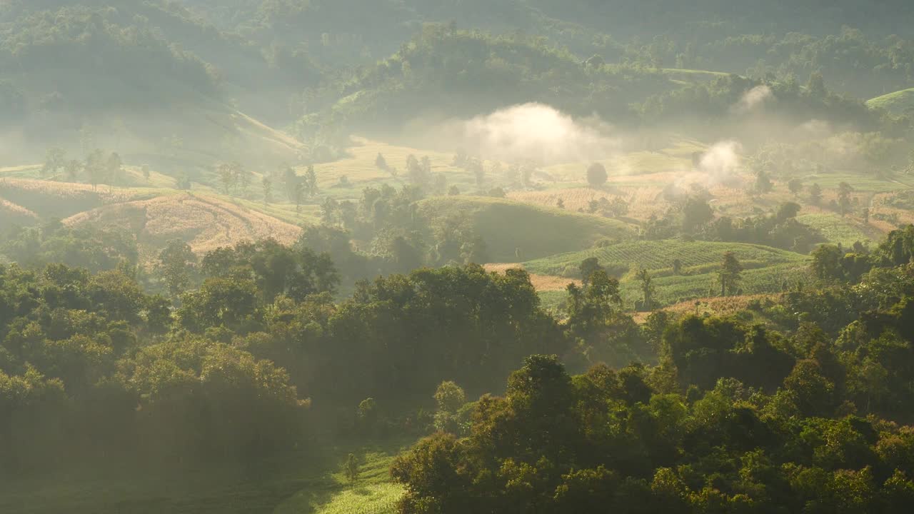 山景观，雾，多风的山脉，山，绿色景观亚洲农场。美丽的风景，山，绿色的田野，草地，白云，蓝天，在日出。乡村阳光照射天堂令人惊叹的景色视频素材