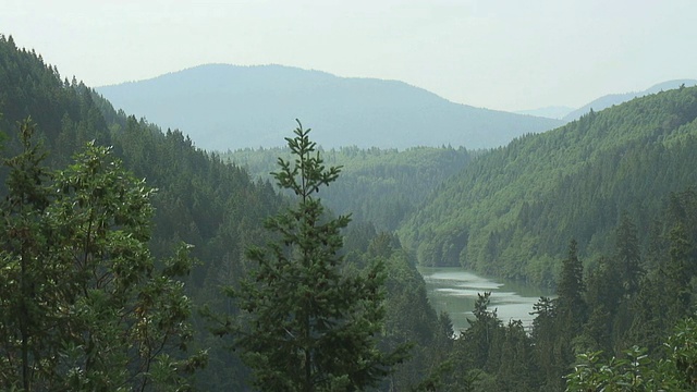 山场景02视频素材