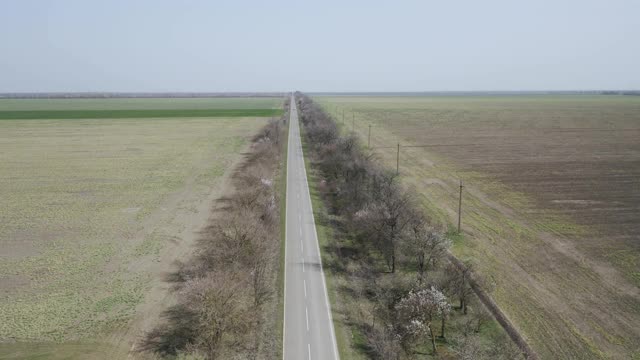 一辆白色汽车在被田野包围的乡村公路上行驶的鸟瞰图。视频素材