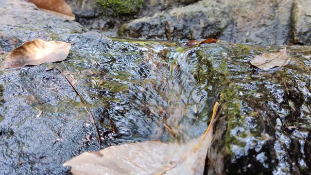 水流在岩石上的运动视频素材