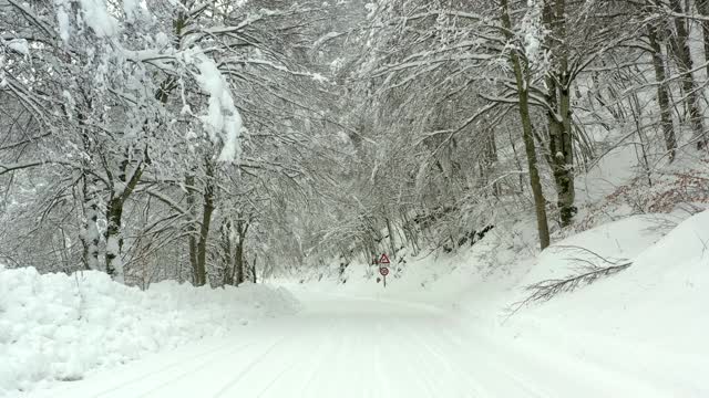 雪覆盖的山路，雪覆盖的树林视频素材