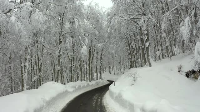 雪覆盖的山路，雪覆盖的树林视频素材