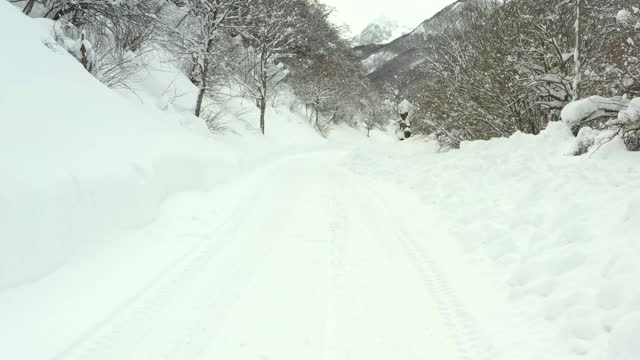 雪覆盖的山路，雪覆盖的树林视频素材