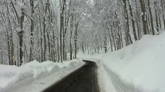 雪覆盖的山路，雪覆盖的树林视频素材