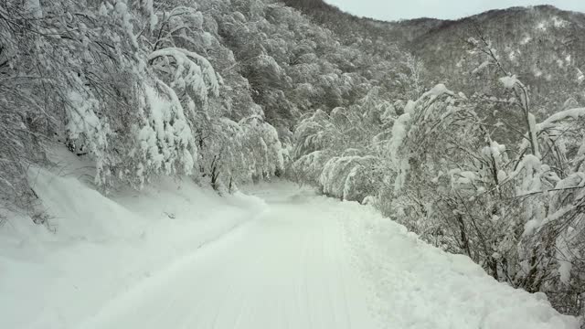 雪覆盖的山路，雪覆盖的树林视频素材