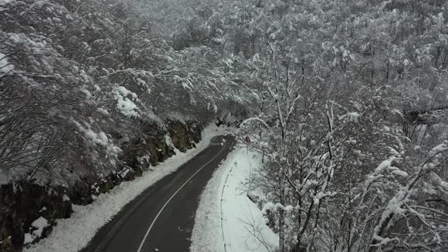 雪覆盖的山路，雪覆盖的树林视频素材