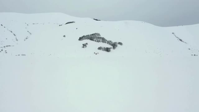 意大利:由意大利翁布里亚诺尔恰Castelluccio di Norcia山上的树木形成。视频素材