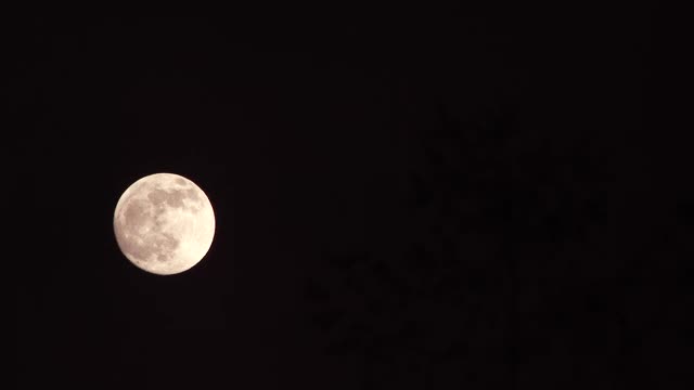 黑色夜空和满月风景视频素材