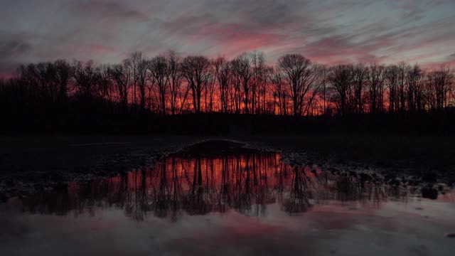 美丽的风景夕阳在森林的水面上倒映视频素材