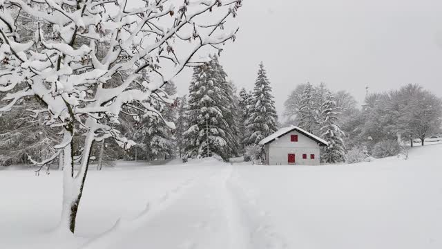 雪覆盖了红房子视频素材