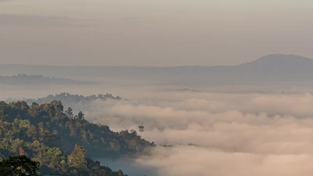 清迈碧差汶Khao Kho观景台的晨雾。雾围绕着山。视频素材