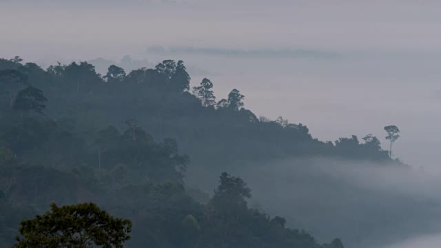 清迈碧差汶Khao Kho观景台的晨雾。雾围绕着山。视频素材