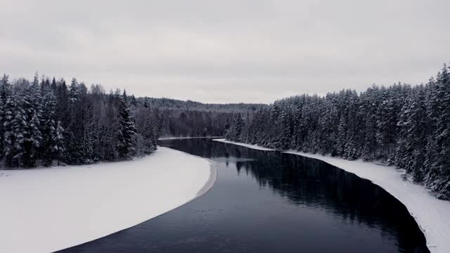 无人机拍下了雪林和河流，树木在皑皑白雪下的天空视频素材