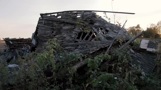 老农场在田里视频素材