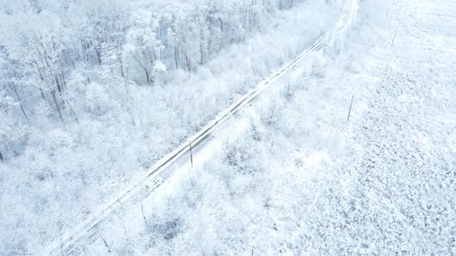 汽车在白雪覆盖的森林周围行驶的鸟瞰图视频素材