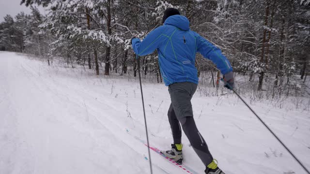 体育生活方式。一个男人在冬季森林里越野滑雪。准备视频素材