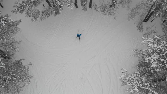 前视图。运动员正在冬季森林里进行越野滑雪视频素材