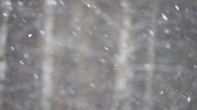 雪花在天空中打旋着，在浅浅的田野深处视频素材