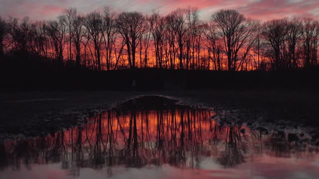 美丽的风景夕阳在森林的水面上倒映视频素材