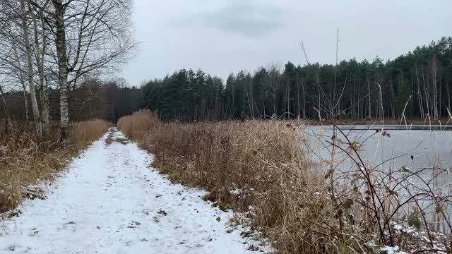 池塘上的冬季景观。湖上的冰。视频素材