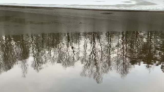 池塘上的冬季景观。湖上的冰。池水中树木的倒影。视频素材