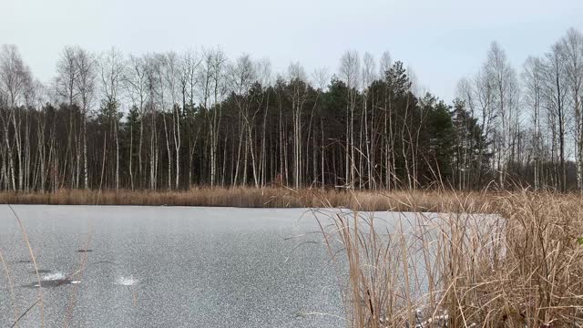 池塘上的冬季景观。湖上的冰。视频素材